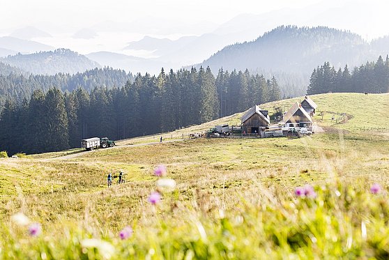 Foto Oberösterreich Tourismus GmbH/Moritz Ablinger: Mit dem Mountainbike hinauf zur Ebenforstalm im Nationalpark Kalkalpen.