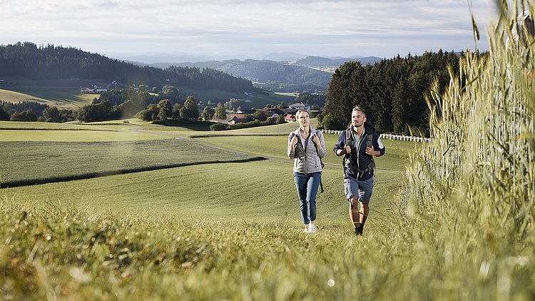Eine Frau und ein Mann wandern auf einer Wiese neben einem Kornfeld in der Region Mühlviertler Alm Freistadt, im Bildhintergrund sind Häuser und die hügelige Landschaft des Mühlviertels zu sehen.