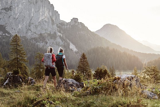 Wandern auf der Wurzeralm