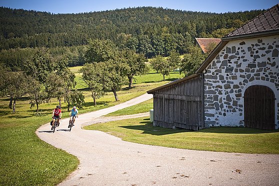 Foto: OOE Tourismus/Erber: Radfahren im Mühlviertel