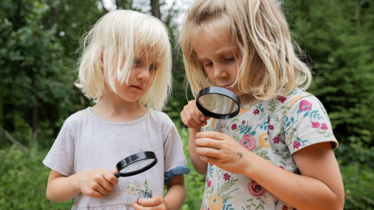 Zwei Mädchen betrachten durch eine Lupe Insekten.