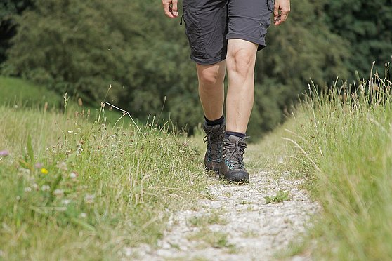 Foto: OÖTourismus/MartinFickert: Wandern entlang des Burgen- und Schlösserweges