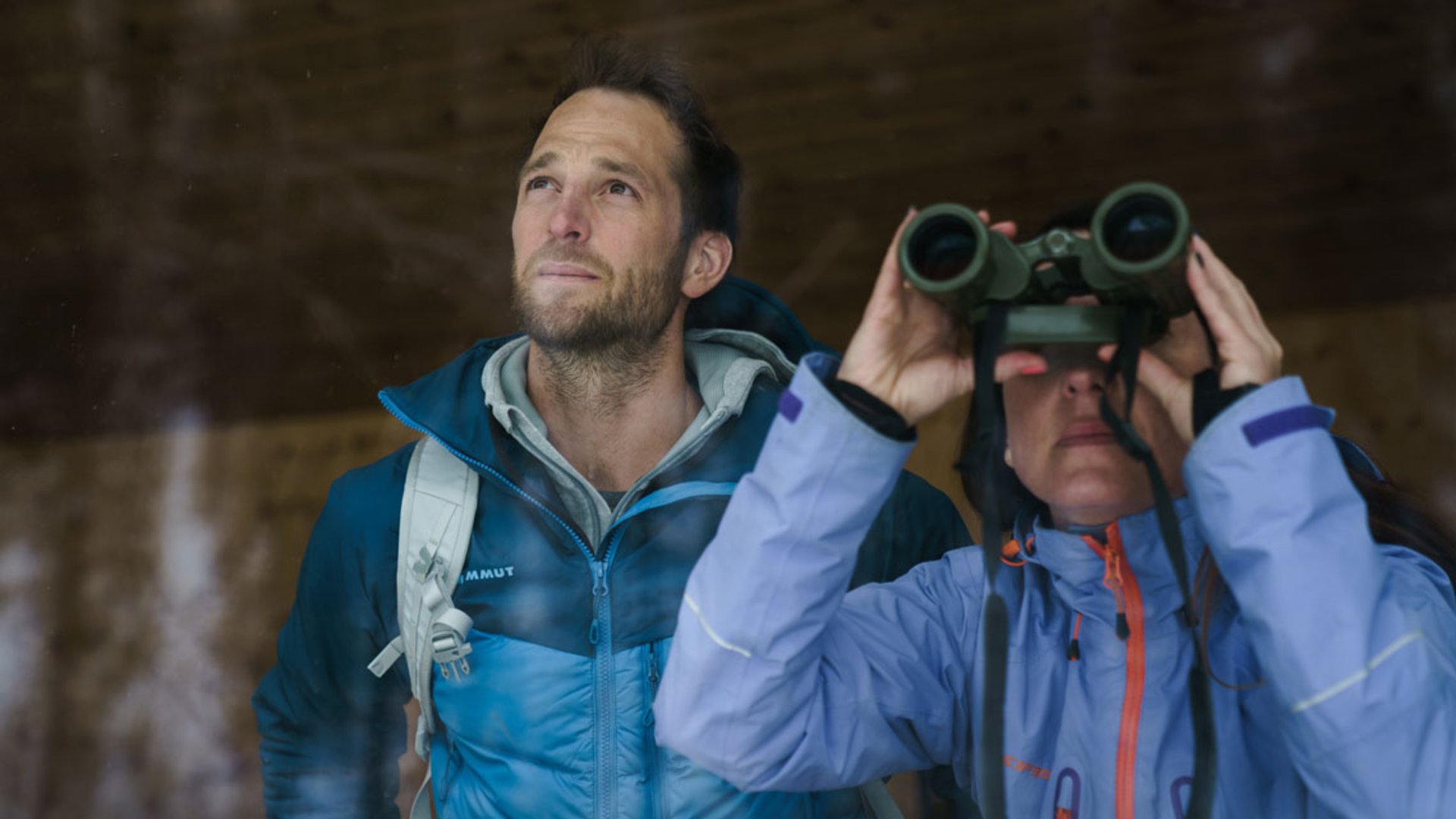 Foto: Oberösterreich Tourismus GmbH/Robert Maybach: Wildtierfütterung beim winterlichen Naturschauspiel im Nationalpark Kalkalpen Wildtierfütterung beim winterlichen Naturschauspiel im Nationalpark Kalkalpen