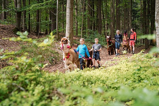 Foto TVB Mühlviertel/Justin Berlinger Fotografie: Familienurlaub in der Erlebnisregion Böhmerwald.