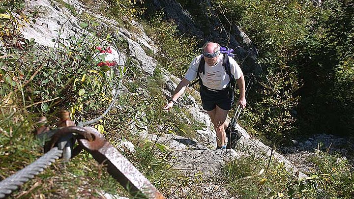 Bergtour Am Naglsteig In Bad Ischl Ausflugstipps