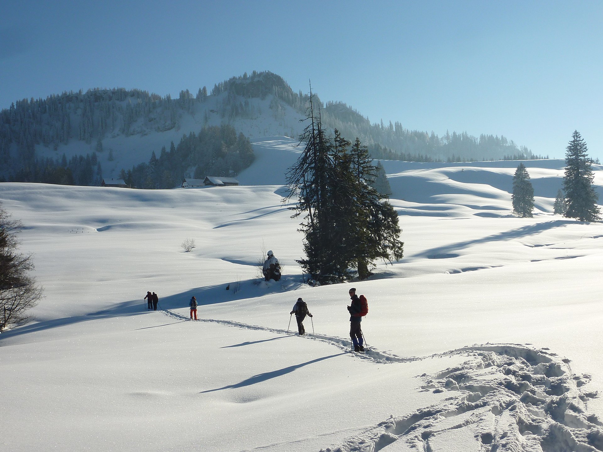 Eine Gruppe von Leuten wandert mit Schneeschuhen über die tiefverschneite Ebenforstalm im Rahmen einer geführten Schneeschuhtour.