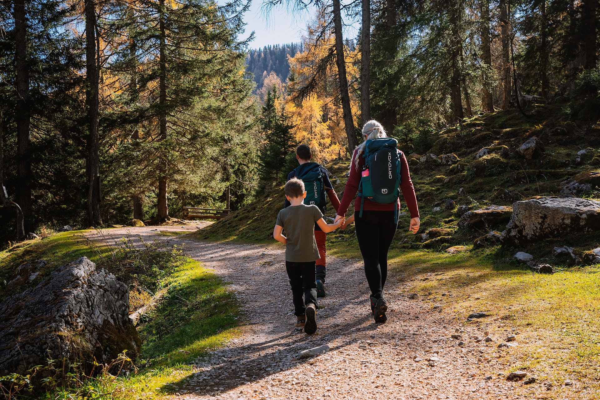 Eine Familie wandert durch ein Waldstück am Rundwanderweg auf der Wurzeralm.