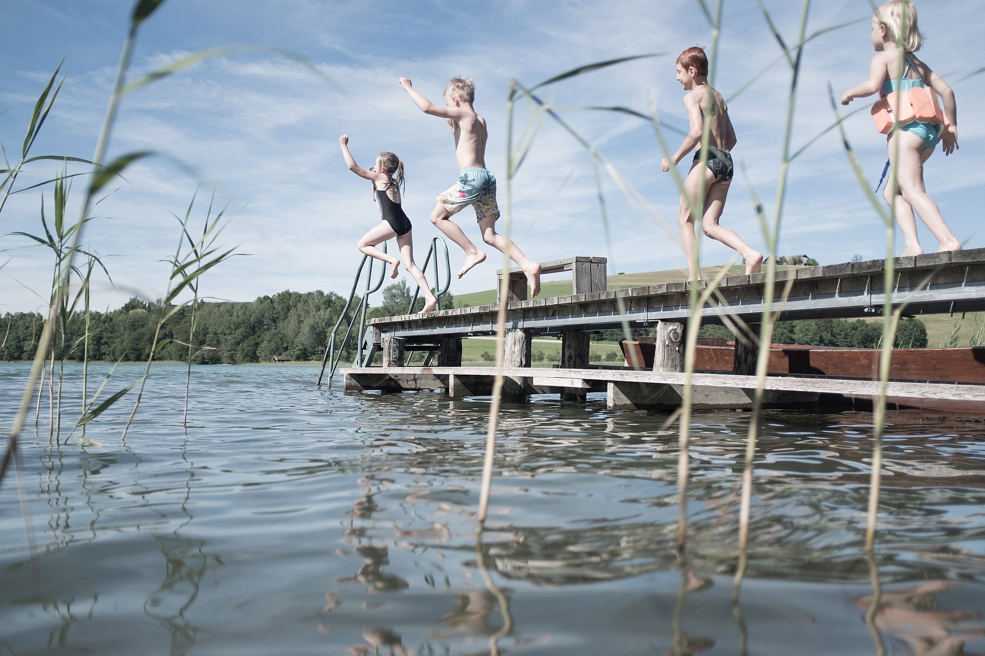 Vier Kinder in Badekleidung, eines davon mit Schwimmgürtel, laufen auf einem Holzsteg Richtung Wasser. Die zwei vorderen Kinder springen gerade ab ins Wasser. Im Vordergrund ist etwas Schilf zu sehen, im Hintergrund Wald und Wiesenlandschaft.
