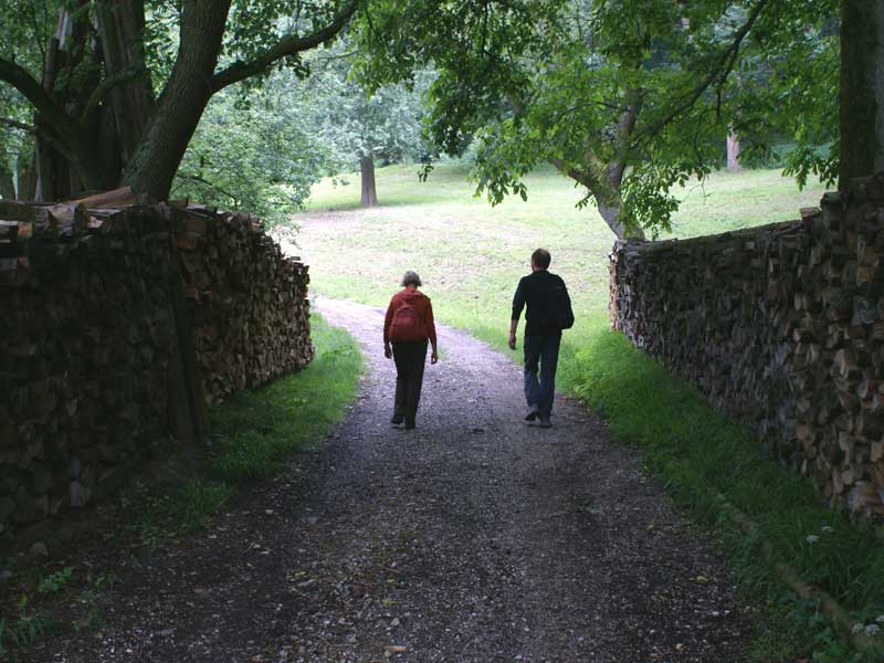 Wanderung Steyregger Rundwanderung